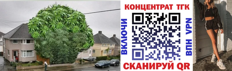 дарк нет клад  omg   ТГК концентрат  Вилюйск  наркошоп 