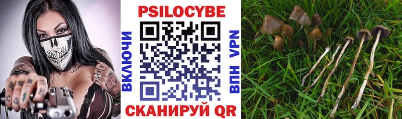 кракен tor Вилюйск Псилоцибиновые грибы мухоморы